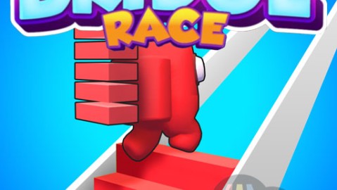 Bridge Race