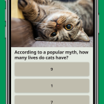 صور QuizzLand