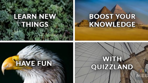 QuizzLand