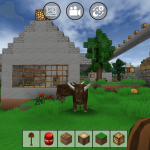 صور Mini Block Craft
