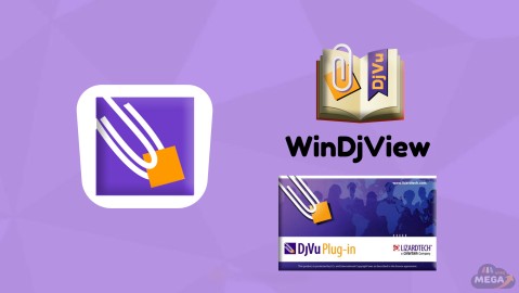 WinDjView