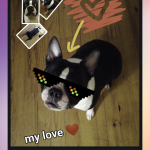 صور Pixtica