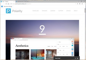 polarity browser ويندوز