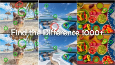 Find the Difference 1000+
