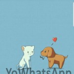 صور FMWhatsApp