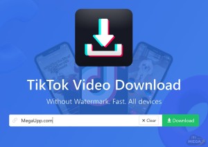 برنامج تنزيل الفيديوهات من تيك توك بدون علامه مائيه