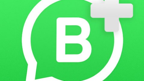 WhatsApp Business Plus