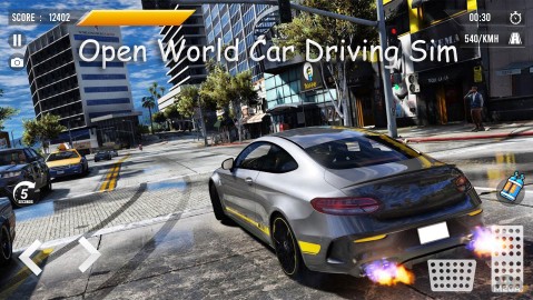 Open World Car Driving Sim