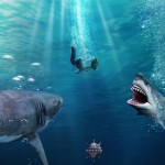 صور Shark Shark Run