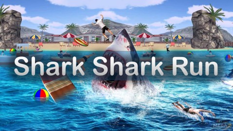 Shark Shark Run