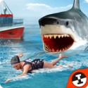 shark shark run