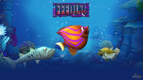 Feeding Frenzy