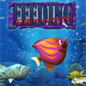 feeding frenzy