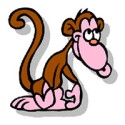 monkeys audio