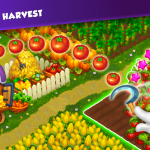 صور Royal Farm