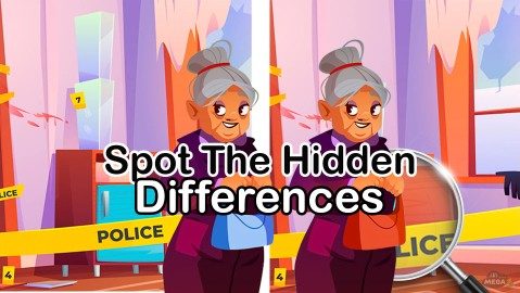 Spot The Hidden Differences