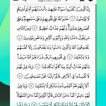 صور Tarteel