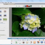صور Picasa