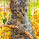 صور Jigsaw Puzzles