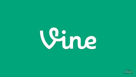 Vine