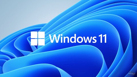 Windows 11