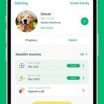 صور Dogo - Puppy and Dog Training