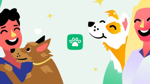 Dogo - Puppy and Dog Training