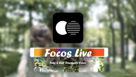 Focos Live