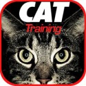 cat training
