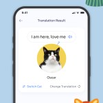 صور MeowTalk Cat Translator