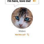 صور MeowTalk Cat Translator