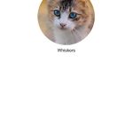 meowtalk cat translator للايفون