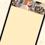 صور MeowTalk Cat Translator