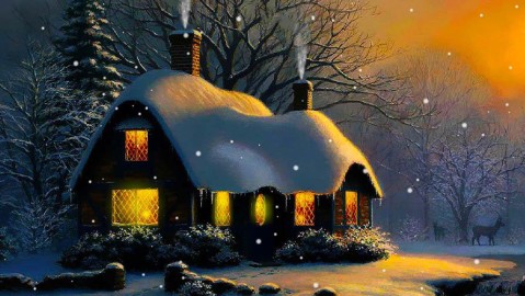 Snow Live Wallpaper