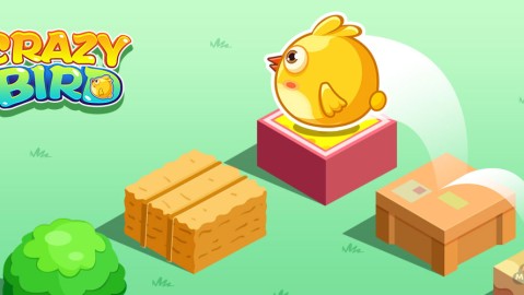 Crazy Bird
