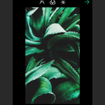 صور EyeEm - Sell Your Photos