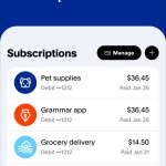 صور PayPal