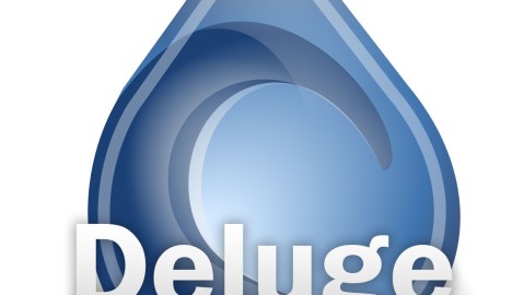 Deluge