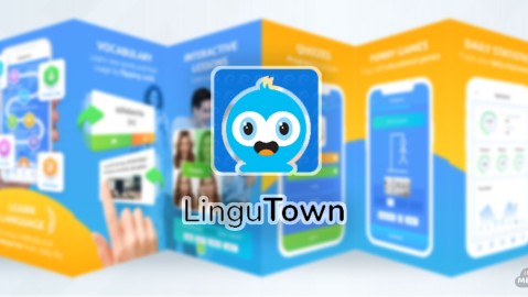 Lingutown - Learn Languages