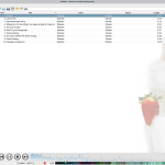 صور Strawberry Music Player