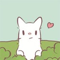 cats and soup