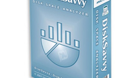 DiskSavvy