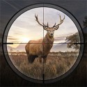 hunting sniper