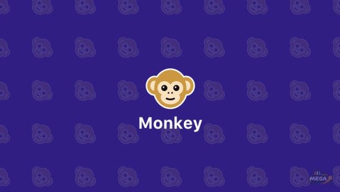Monkey - random video chat