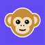 monkey random video chat