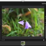 صور Darktable
