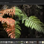 صور Darktable