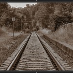 صور Darktable