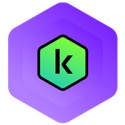 kaspersky plus