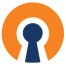 openvpn